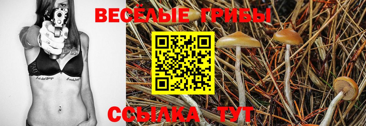 Галлюциногенные грибы прущие грибы  Псилоцибиновые грибы GOLDEN TEACHER  Вход с VPN  Красноярск 
